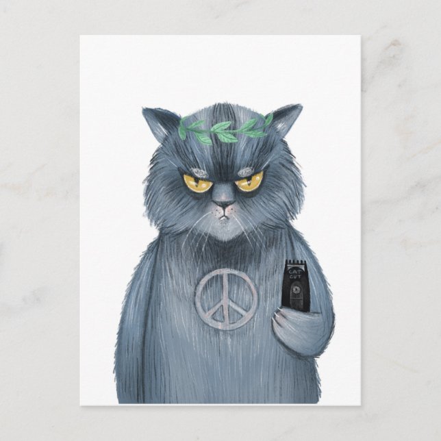 Cartão Postal Paz. (Frente)