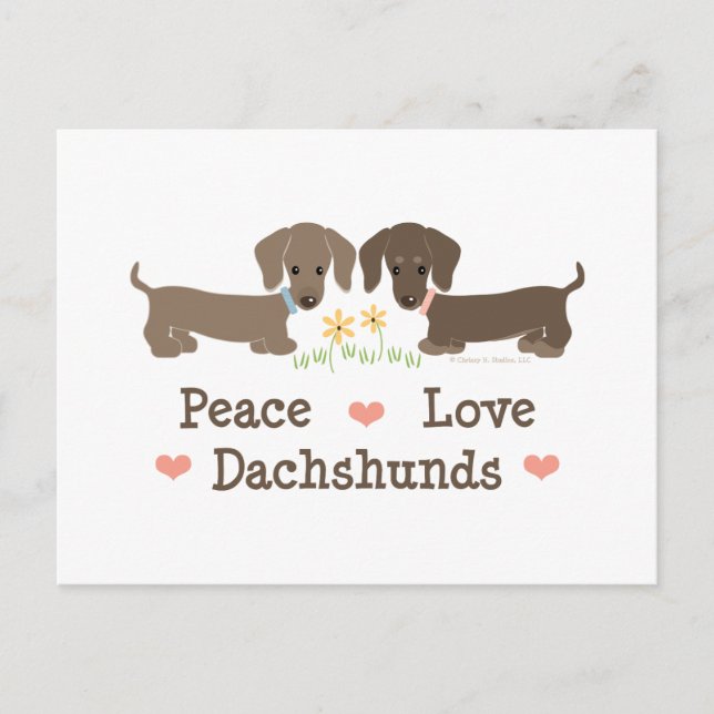 Cartão Postal Paz Amor Dachshunds (Frente)