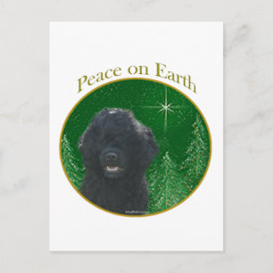 Cartão Postal Paz de Cão de Água Português