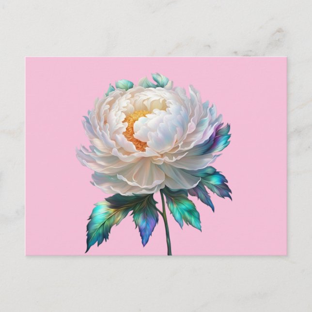Cartão Postal Paz de Peony (Frente)