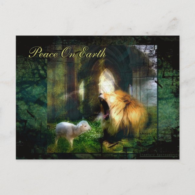 Cartão Postal Paz na terra (Frente)
