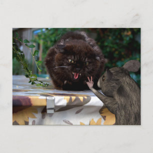 Cartão Postal Paz! Sejamos Amigos