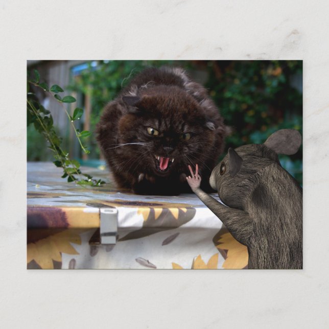 Cartão Postal Paz! Sejamos Amigos (Frente)