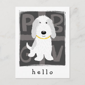 Cartão Postal PBGV branco e cinza