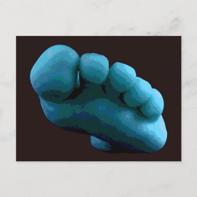 Cartão Postal Pé Azul ... Minha arte de computador de 2005 (Frente)