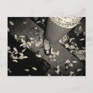 Cartão Postal pé x