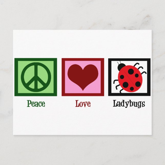 Cartão Postal Peace Love Ladybugs (Frente)