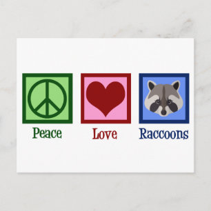 Cartão Postal Peace Love Raccoons