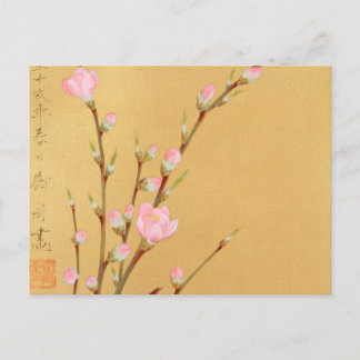 Cartão Postal Peach Blossoms