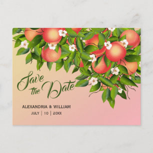 Cartão Postal Peach Fruta Botânica   Casamento Salvar A Data