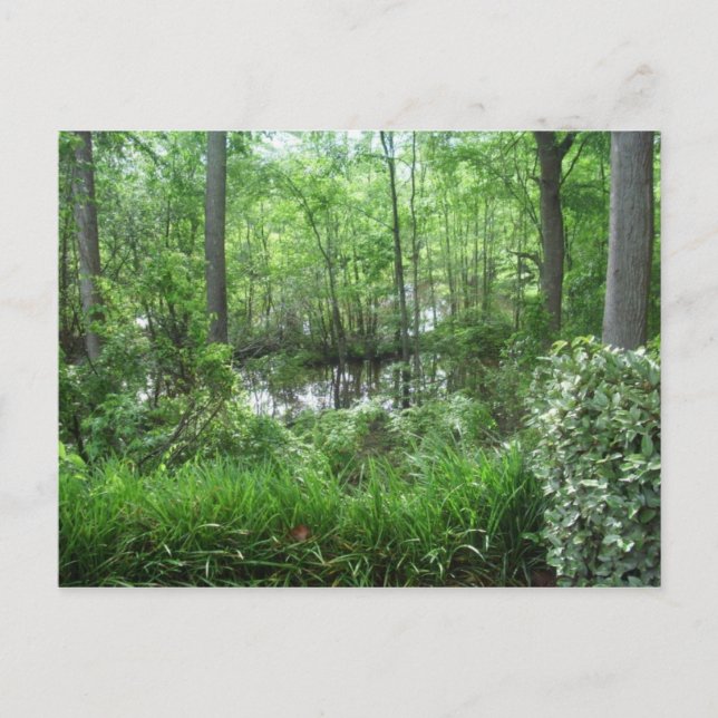 CARTÃO POSTAL "PEACHTREE CITY, GA" (Frente)