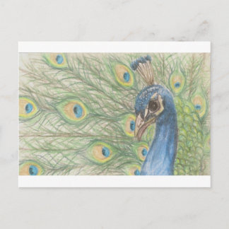 Cartão postal Peacock