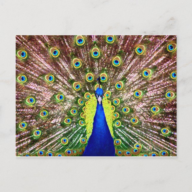 CARTÃO POSTAL PEACOCK (Frente)