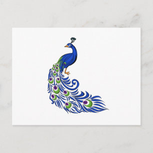 Cartão Postal Peacock