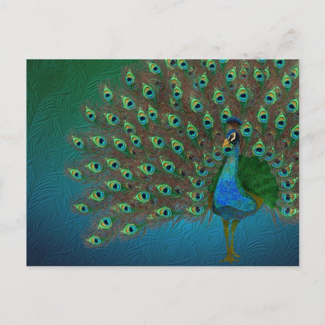 Cartão Postal Peacock (Frente)