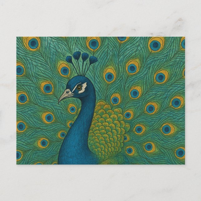 Cartão Postal Peacock (Frente)