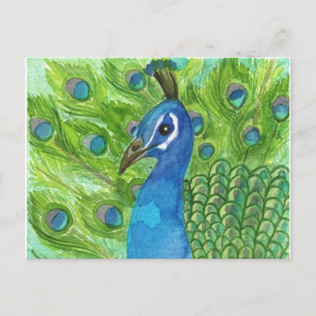 Cartão postal Peacock (Frente)