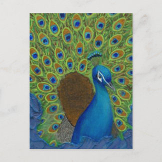 Cartão Postal Peacock, Arranja Seus Penas