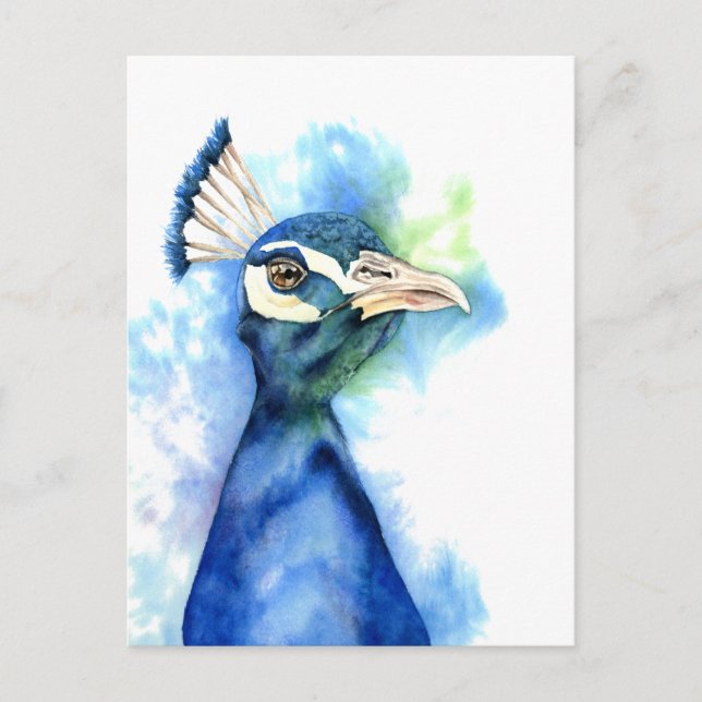 Cartão Postal Peacock Bird Watercolor Art (Frente)