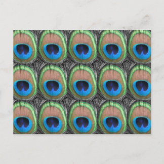 Cartão Postal Peacock Eyes