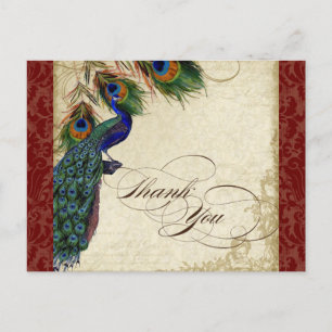 Cartão Postal Peacock & Feather Formal Obrigado Nota Burgundy