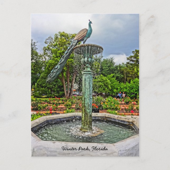 Cartão Postal Peacock Fountain & Rosa Garden no Winter Park FL (Frente)