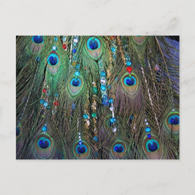 Cartão Postal Peacock Jewelery (Frente)