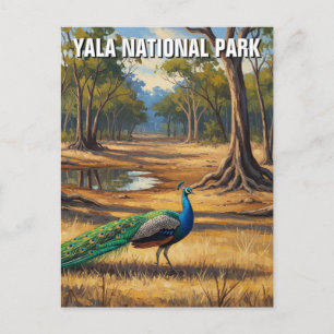 Cartão Postal Peacock no Sri Lanka Viagem do Parque Nacional de 