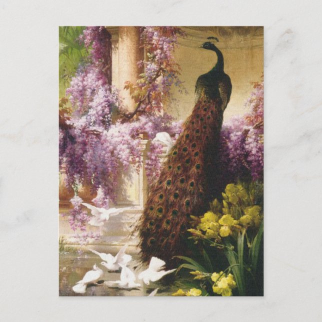Cartão Postal Peacocks e Doves (Frente)