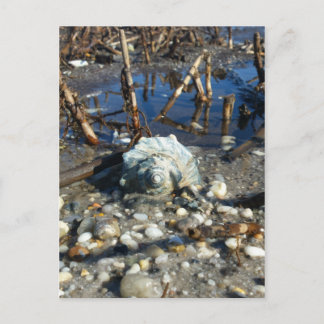 Cartão Postal Pebble Beach 2