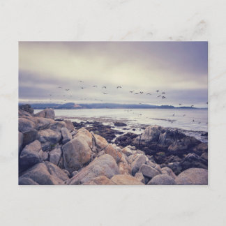 Cartão Postal Pebble Beach Peaceful Morning