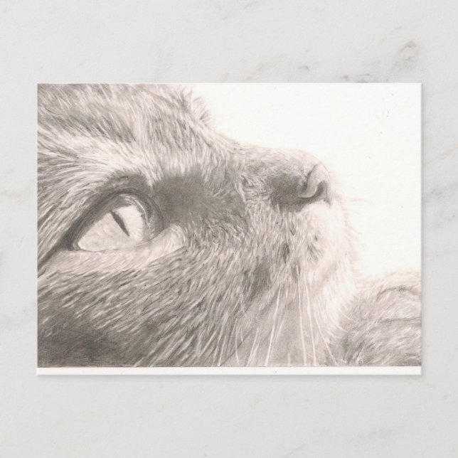 Cartão Postal Peças Para Pensamento (Frente)