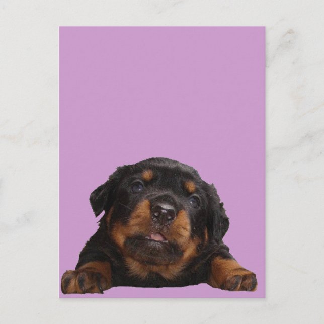 Cartão Postal Peças Para Pensamento (Frente)