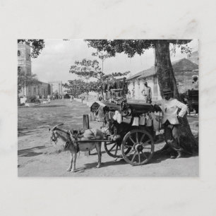 Cartão Postal Peddler, Cuba: 1920