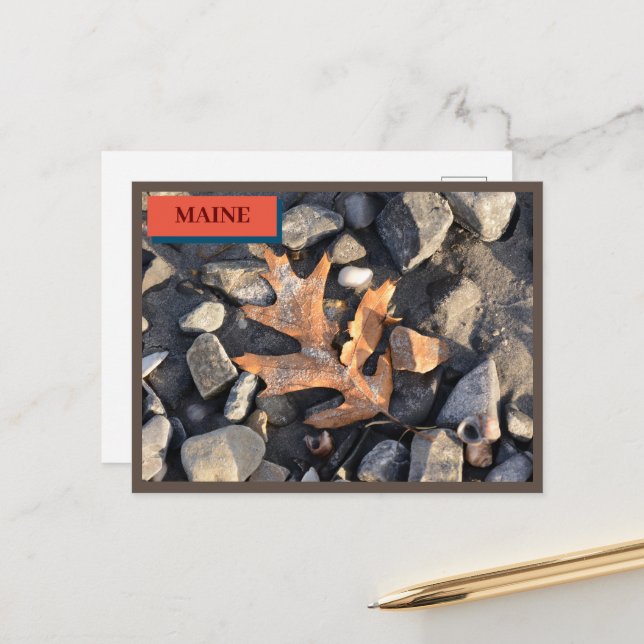 Cartão Postal Pedras Folhas Conchas Seapoint Praia Maine Naturez (Frente/Verso In Situ)