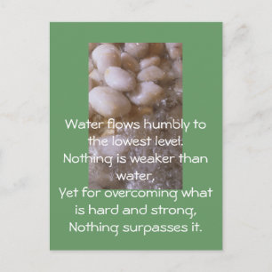 Cartão Postal Pedras Molhadas