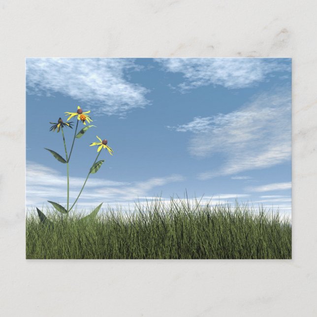 Cartão Postal Pedras pacíficas - renderização 3D (Frente)