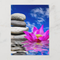 Pedras Terapêuticas e Flor Lotus