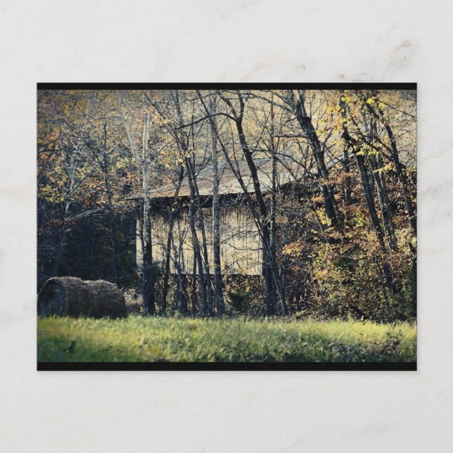 Cartão Postal Peek-a-Boo Barn (Frente)