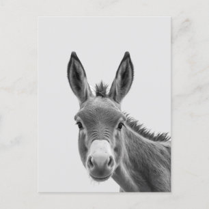 Cartão Postal Peeking Sneaky Donkey Cute