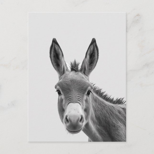 Cartão Postal Peeking Sneaky Donkey Cute (Frente)