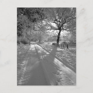 Cartão Postal Pegadas na Neve: Cheshire