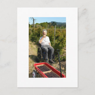 Cartão Postal Pegando Airelas na Califórnia Norte