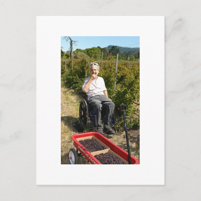 Cartão Postal Pegando Airelas na Califórnia Norte (Frente)