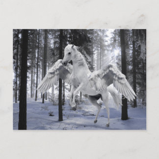 Cartão Postal Pegasus Winged Flying Horse Snow