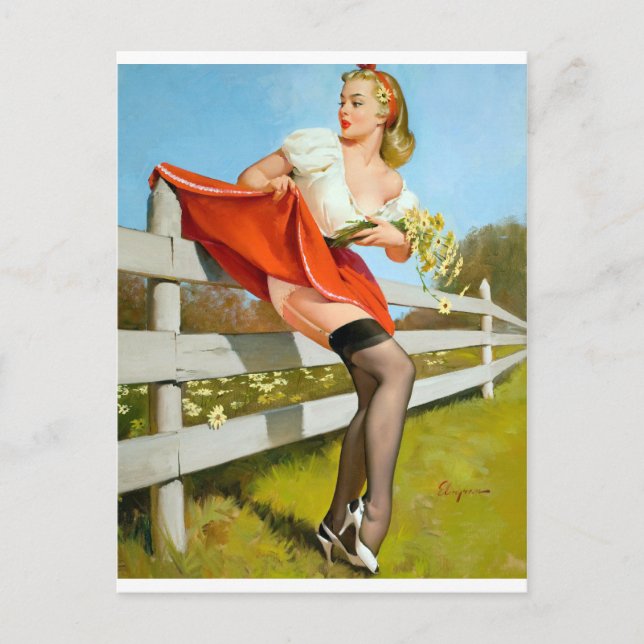 Cartão Postal Pego no pino de cerca para cima (Frente)