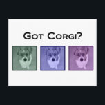 Cartão Postal Pegou Corgi? Fotografia de Arte Funny Corgis<br><div class="desc">Proprietários de Pembroke Welsh Corgis vão adorar esta legal arte de fotografia com sua raça de cachorro. Três fotografias de corgi são mostradas atrás de um filtro verde,  roxo e rosa para um presente moderno e divertido de córgi.</div>