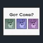 Cartão Postal Pegou Corgi? Fotografia de Arte Funny Corgis<br><div class="desc">Proprietários de Pembroke Welsh Corgis vão adorar esta legal arte de fotografia com sua raça de cachorro. Três fotografias de corgi são mostradas atrás de um filtro verde,  roxo e rosa para um presente moderno e divertido de córgi.</div>