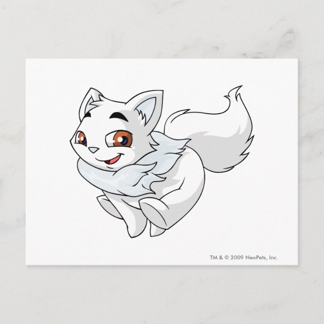 Cartão Postal Peguem esse Wocky, se puderem! (Frente)