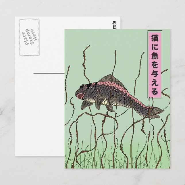 Cartão Postal Peixe A Um Gato (Frente/Verso)